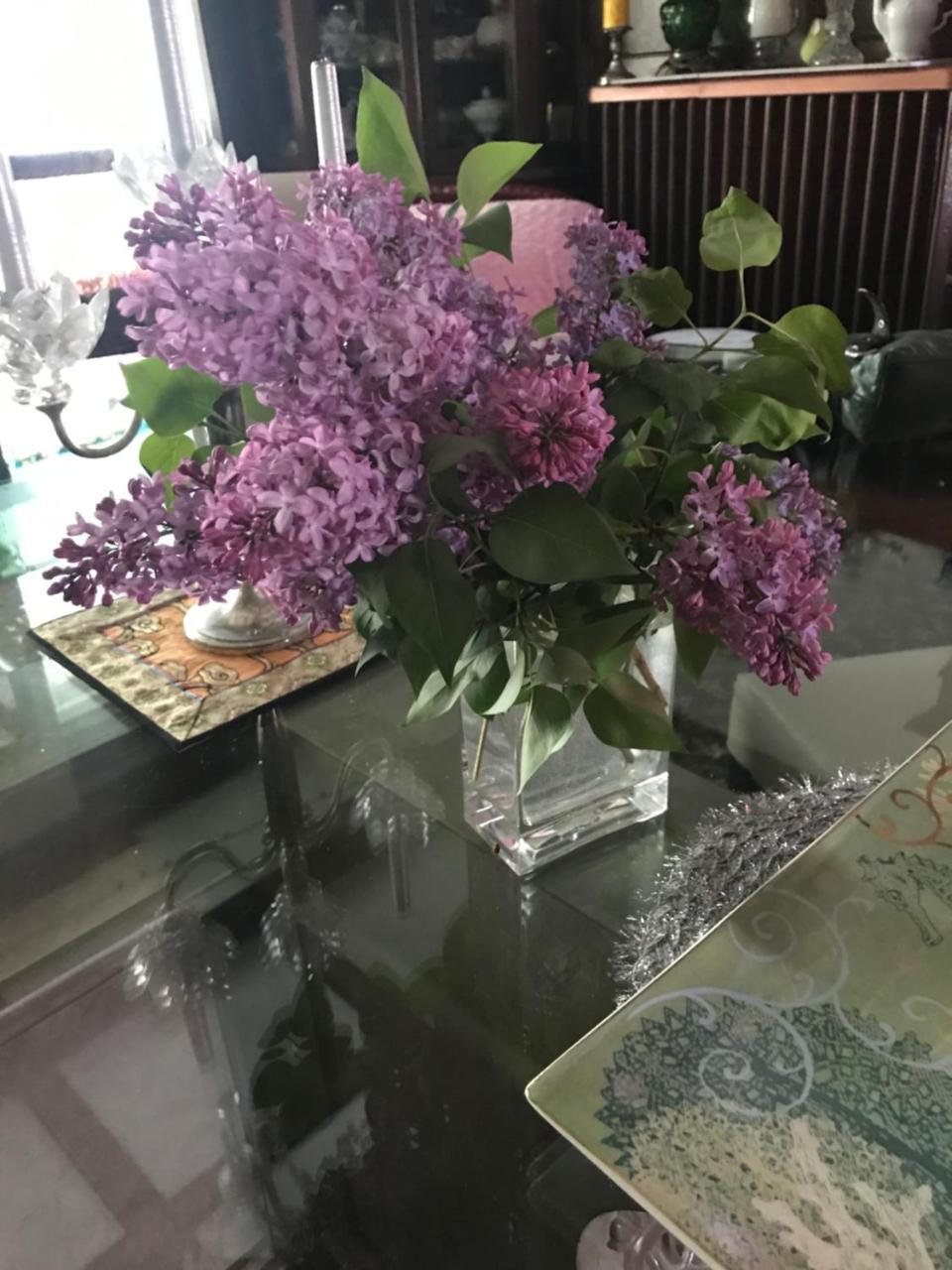 Bel'S Inn Bed And Breakfast Kingston Εξωτερικό φωτογραφία