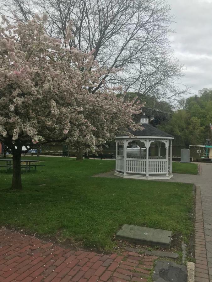 Bel'S Inn Bed And Breakfast Kingston Εξωτερικό φωτογραφία